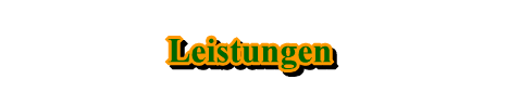 Leistungen